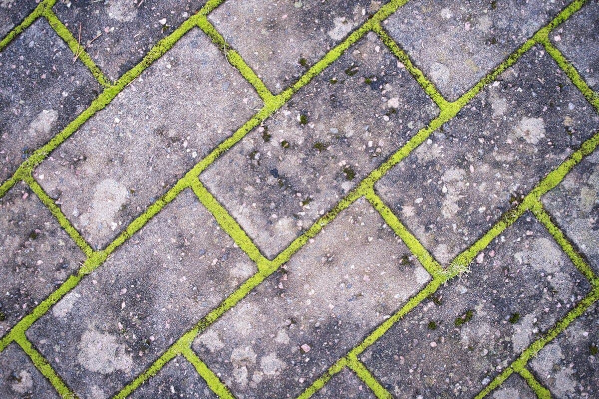 Before: Paver Driveway Restoration